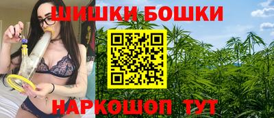сатива Нальчик