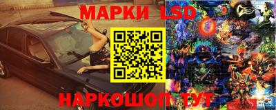 сатива Нальчик