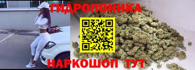 сатива Нальчик