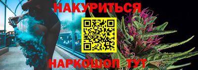 сатива Нальчик