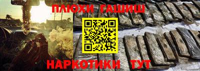 сатива Нальчик